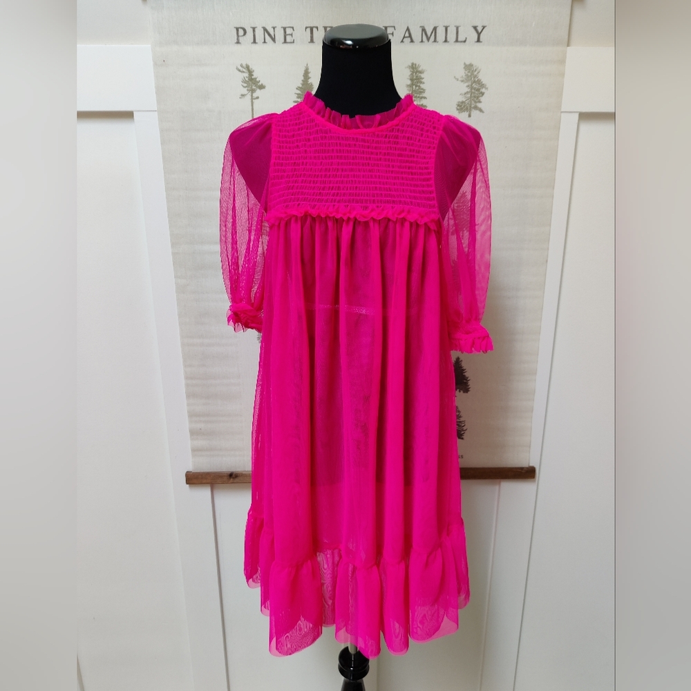 Robe Rose H&M x To All the Boys I've Loved Before Sheer Dress - Small